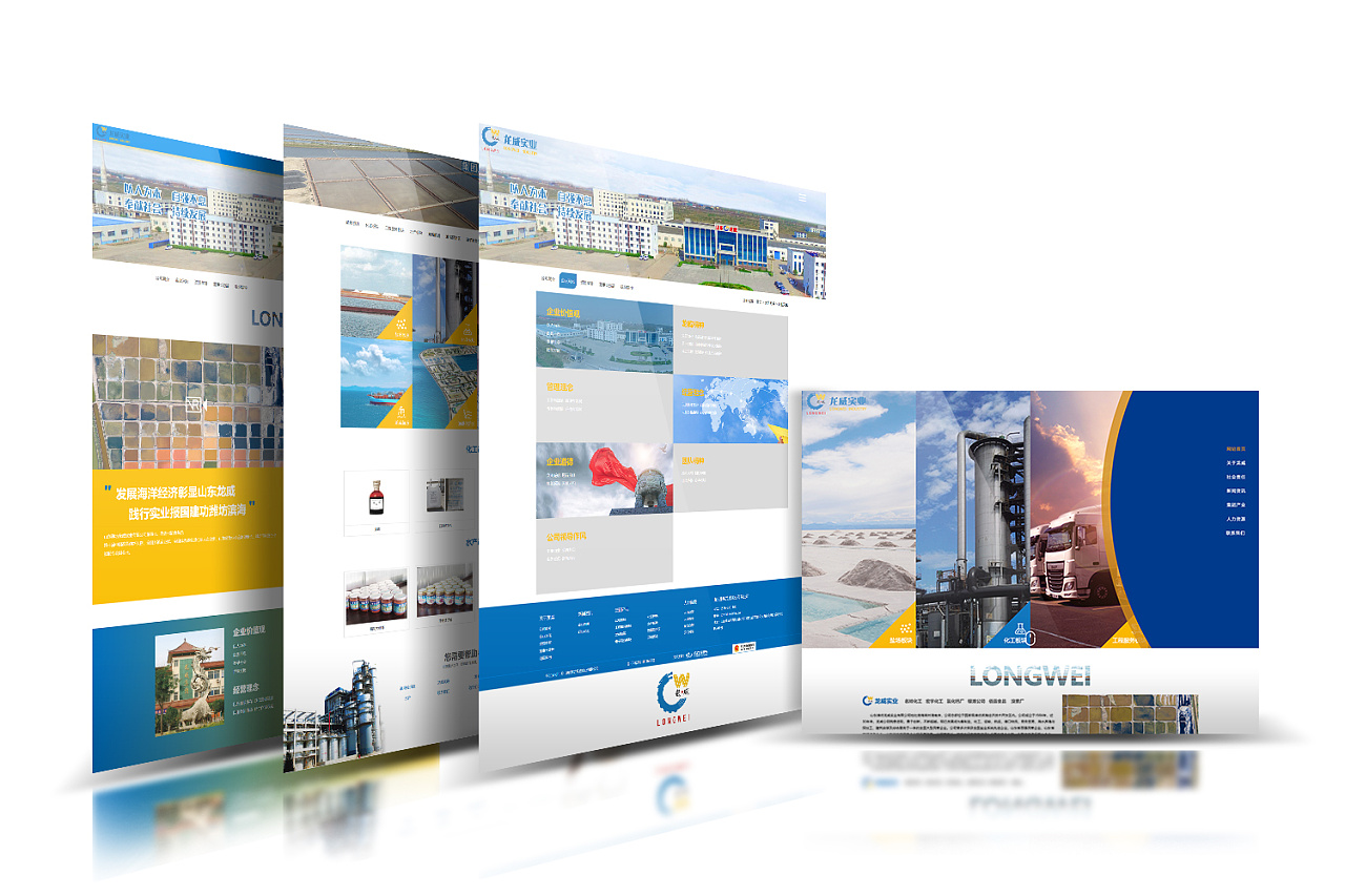 山東濰坊龍威實業(yè)有限公司